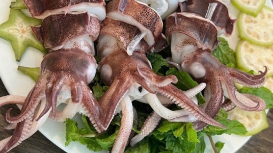 Cùng Đào Hải Triều thưởng thức Mực hấp cuốn rau xanh organic healthy của Ẩm Thực Trần