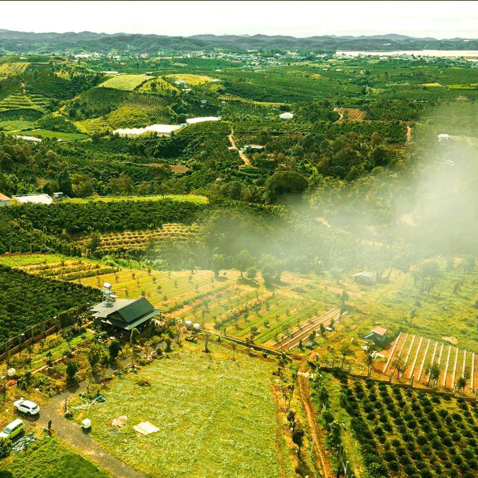 Nông trại Oraganic Ẩm Thực Trần