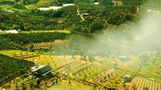 TINH HOA MÓN NGON TỪ ẨM THỰC TRẦN
