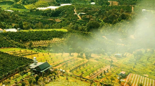 Nông trại Oraganic Ẩm Thực Trần